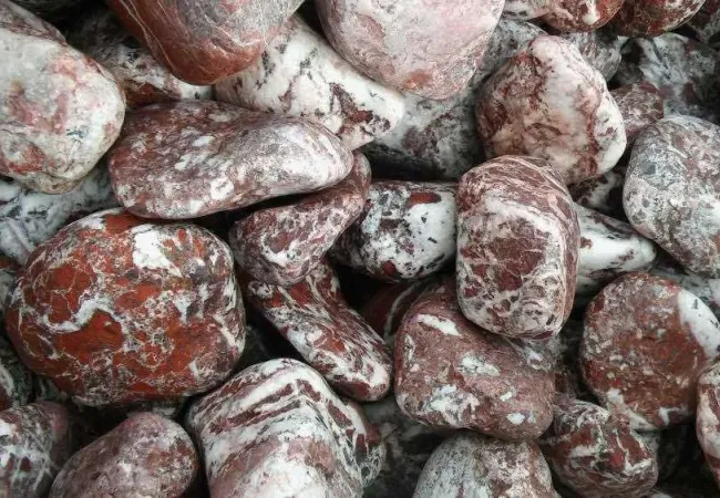 Otoczak Atlas Red