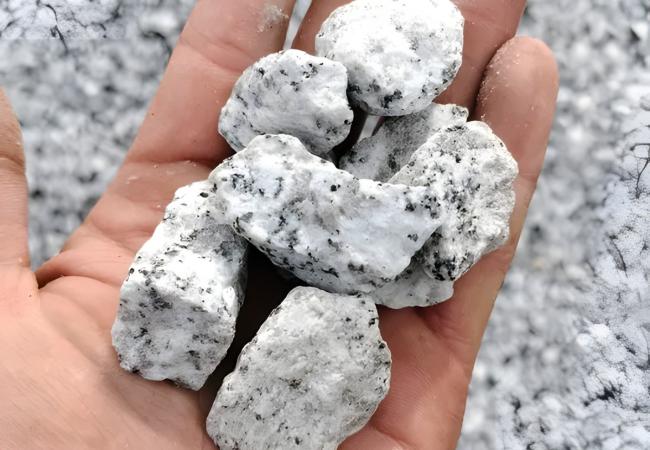 Grys granitowy Dalmatyńczyk